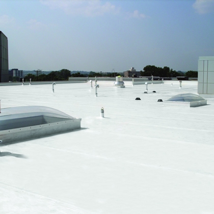 Single-Ply Roofing Photo